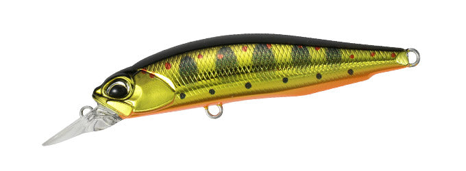 DUO REALIS ROZANTE 63 SP – GROUPERS COMPANY